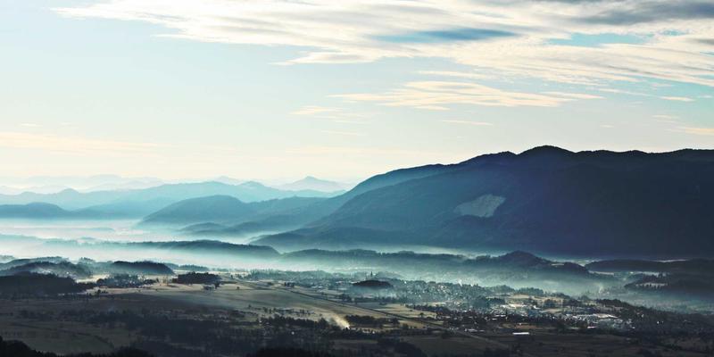 从古老仪式到未来主义市场:非洲木雕艺术的社会功能与当代转型