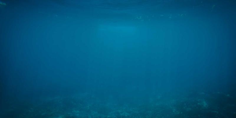 从箱底到指尖：皮影数字化如何重塑收藏价值与工艺传承